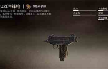 和平精英小蜜蜂是什么槍