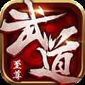 武道至尊星耀版(暫未上線)